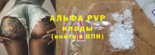 СК Арсеньев