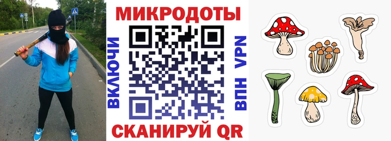 Псилоцибиновые грибы мицелий  где купить   Калуга 