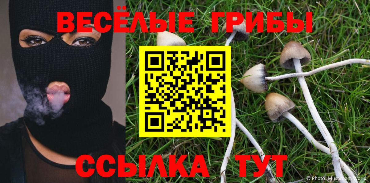 Галлюциногенные грибы Psilocybe Калуга