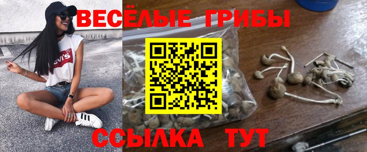 Калуга  Псилоцибиновые грибы мицелий  Псилоцибиновые грибы Psilocybe  Вход с VPN 